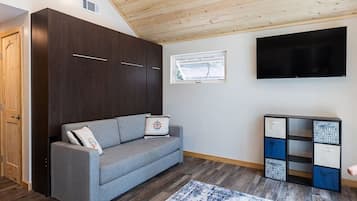Smart TV, fireplace, books
