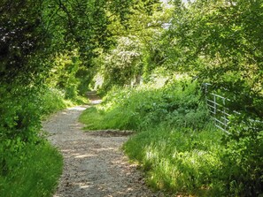 A narrow, unpaved path surrounded by lush greenery and trees. - 2 bedroom accommodation in Winchester (Winchester)