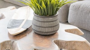 Ein Wohnzimmer mit grauem Sofa, einem gemusterten Zierkissen, einem gestreiften Kissen, einem Holztisch mit einer Pflanze in einem gestreiften Topf und einem weiß-grauen Teppich.