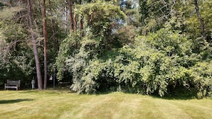 A grassy lawn with a wooden bench and birdhouses.