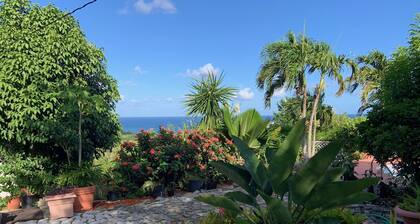 Sunshine & Happiness! 2 BR Home, pool & ocean view