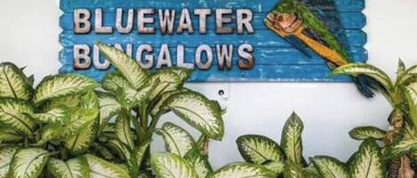 DĂ©tail de lâextĂ©rieur