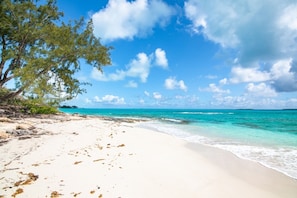 On the beach, sun-loungers, beach towels - Exuma Ocean Front Beach House-Private Beach-Close to Airport-ParadisePoint (Georgetwon)