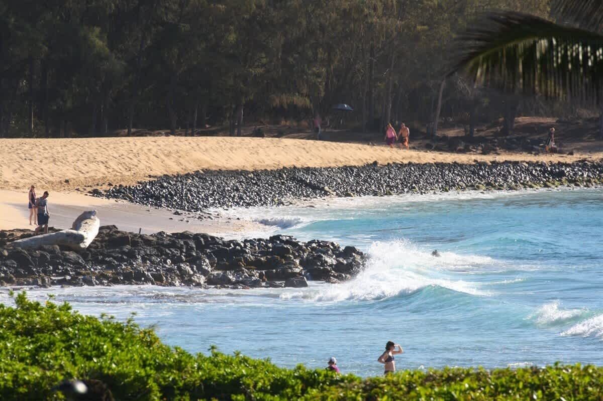 Shipwreck`s and the entrance to the Mahaulepu Trail