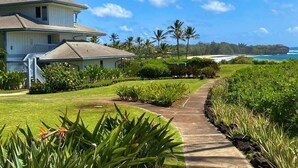 Property grounds - Poipu Sands 513 – Oceanfront, Ground Floor, Steps to Shipwreck Beach (Koloa)