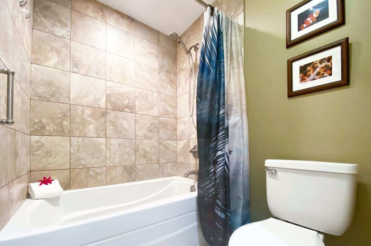 A bathroom with a bathtub, shower curtain, toilet, and two framed pictures on the wall.