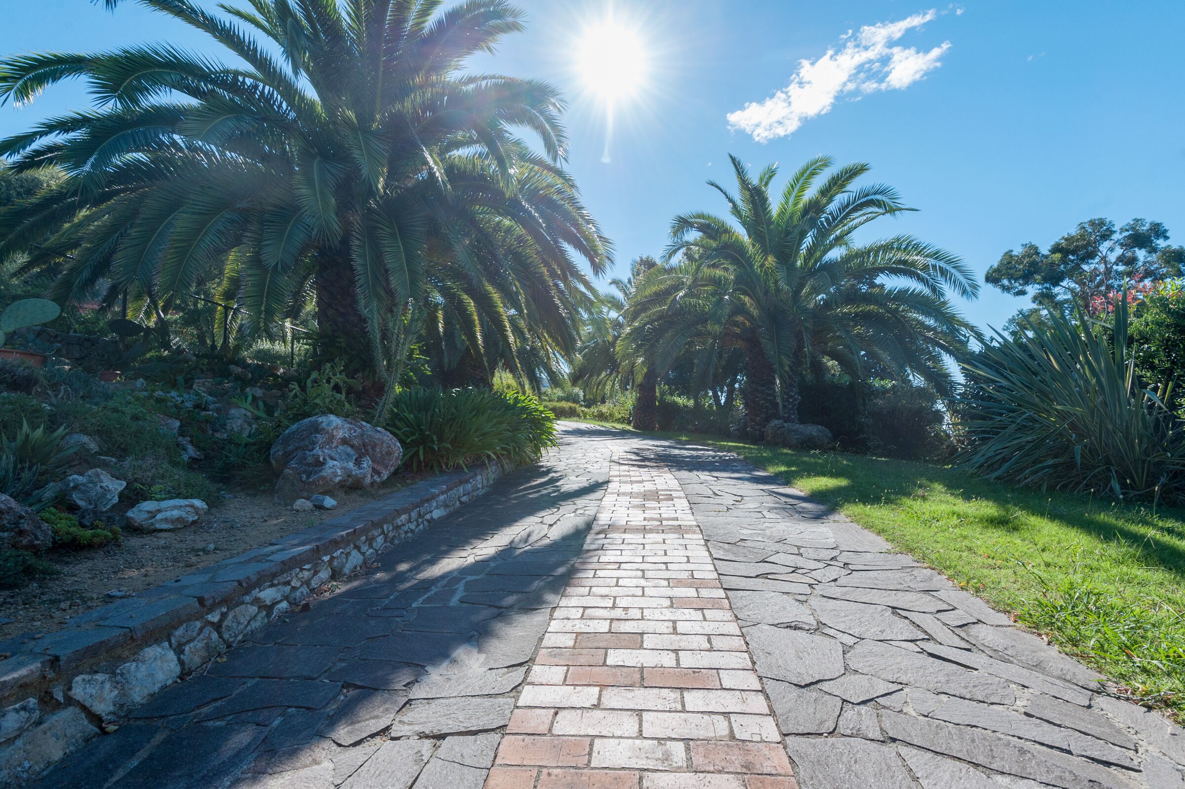 Parco della struttura