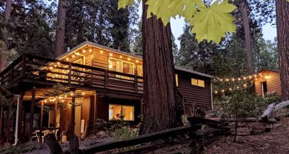 Ponderosa Paradise, Walk To Town, Wraparound Deck, Arcade Cabin