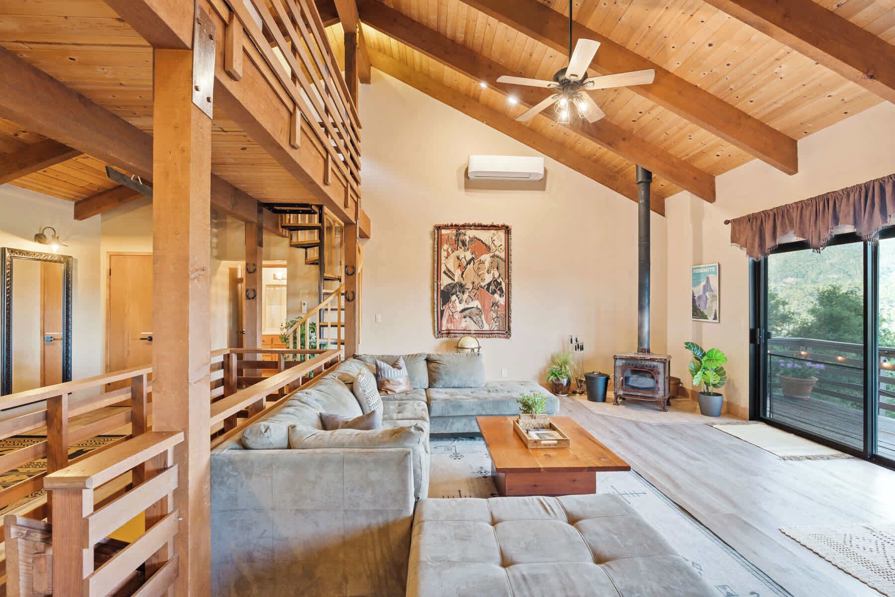 TV, fireplace, DVD player, books