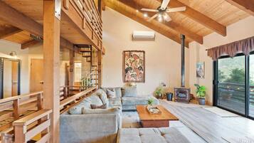 TV, caminetto, lettore DVD, libri