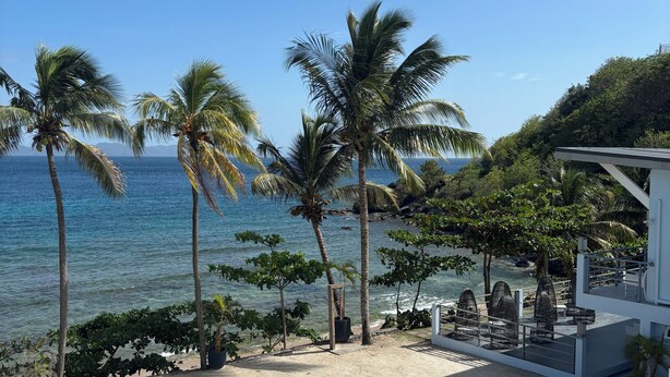 Zona de playa con palmeras, arena y un edificio con terraza.