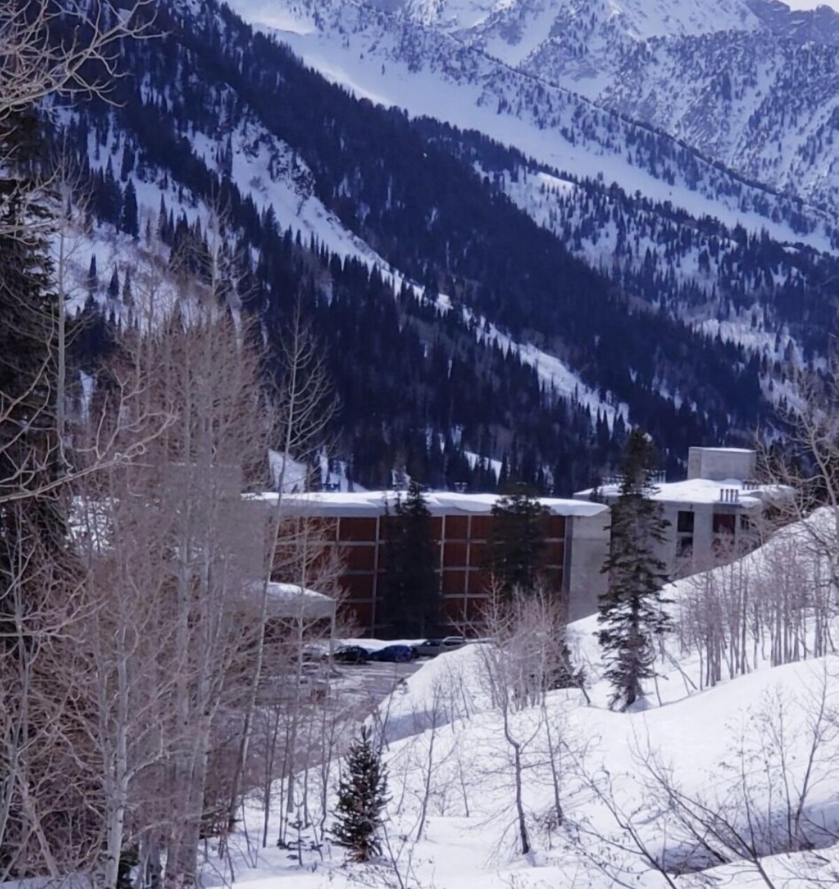 Værtens profilbillede