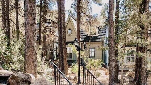 Eine Steintreppe führt zu einem Haus, das von hohen Bäumen umgeben ist.