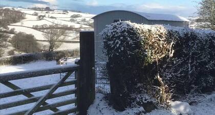 The Shepherds Hut at Hafoty Boeth