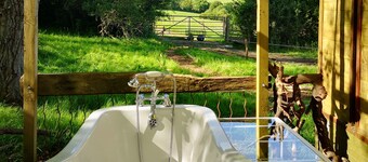 Gorgeous Horsebox at Glamp in Style in East Sussex