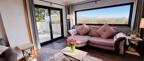 テレビ、暖炉、書庫、ステレオ