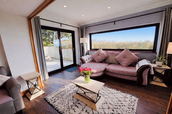 TV, fireplace, books, stereo