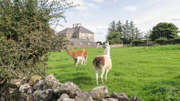 Área da propriedade