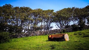 A rustic stone wall and a large log in a grassy field with trees in the background. - The Lazy Llama Shepherd Hut & Sauna (Ballyshannon)