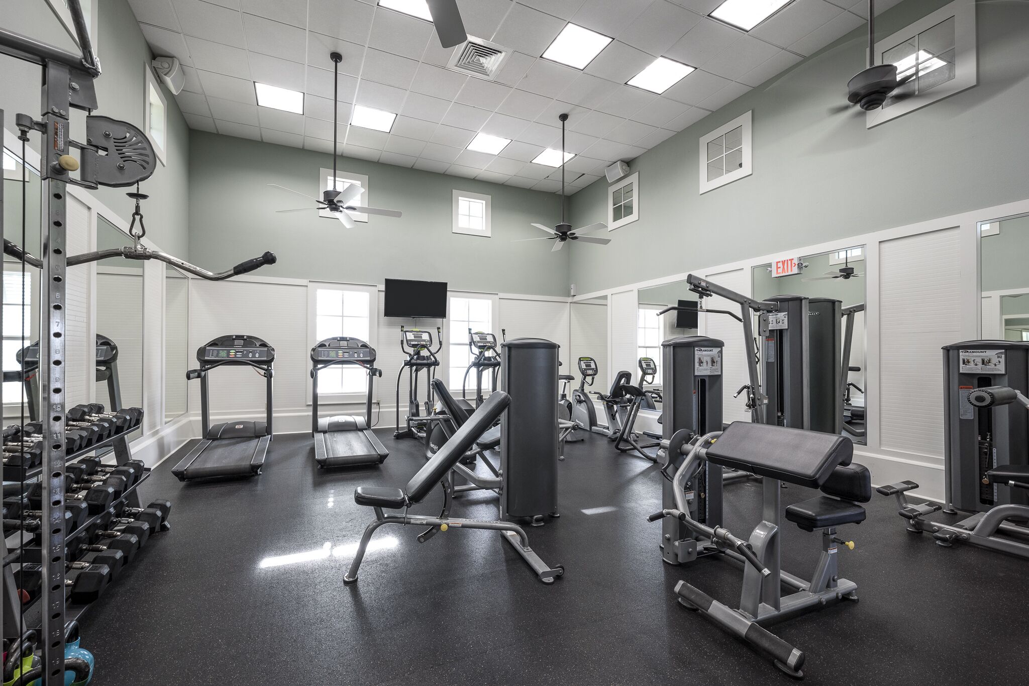 A gym with treadmills, weight machines, and free weights.