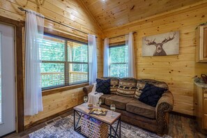 Smart TV, fireplace, video games, DVD player