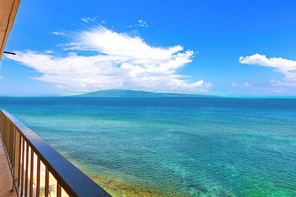 Property grounds - Junior Suite Oceanfront #803 (Lahaina)