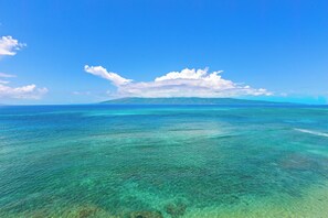 On the beach, sun-loungers - Junior Suite Oceanfront #803 (Lahaina)