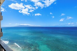 施設の敷地