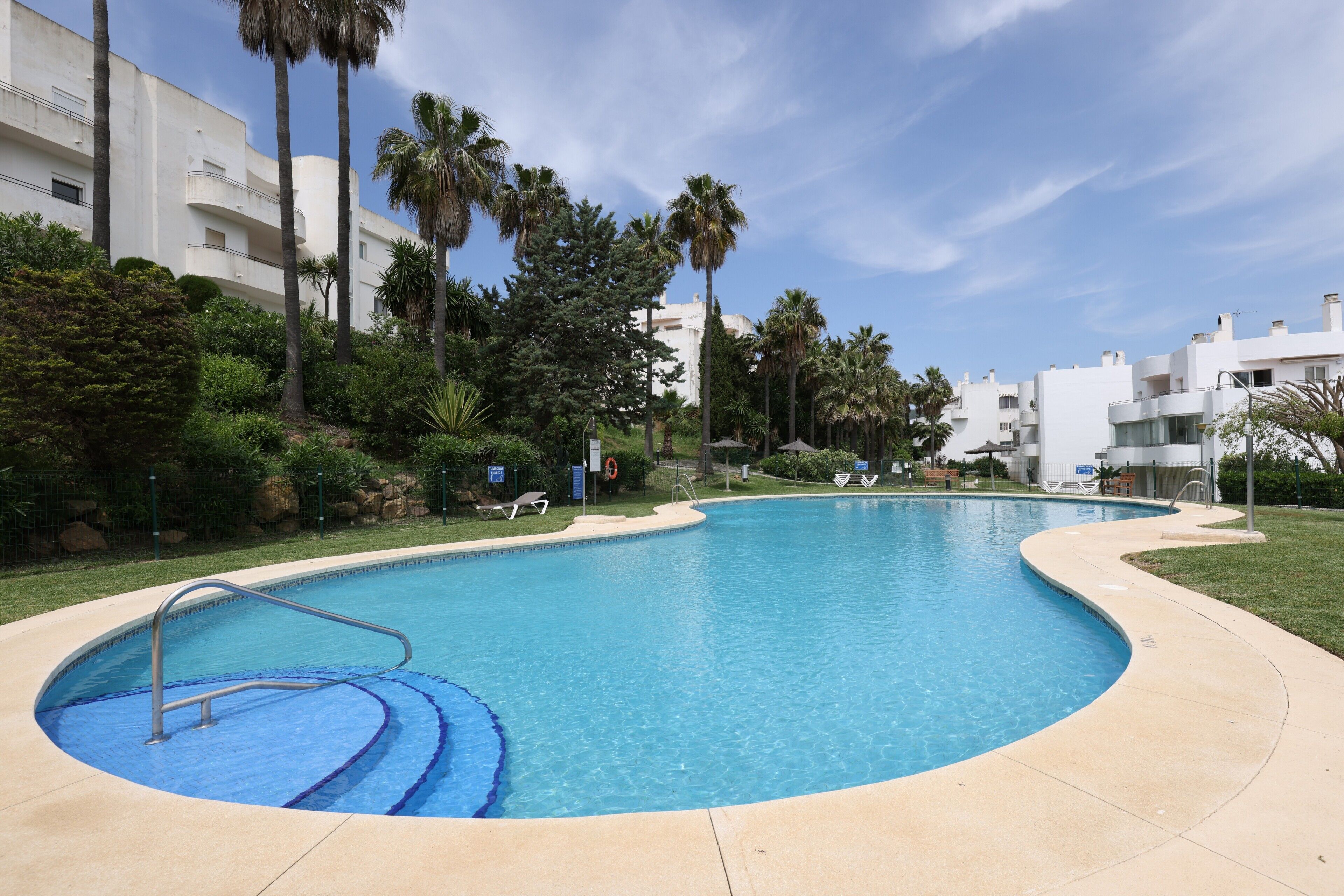 A swimming pool with a curved edge, surrounded by greenery and palm trees, with buildings in the background.
