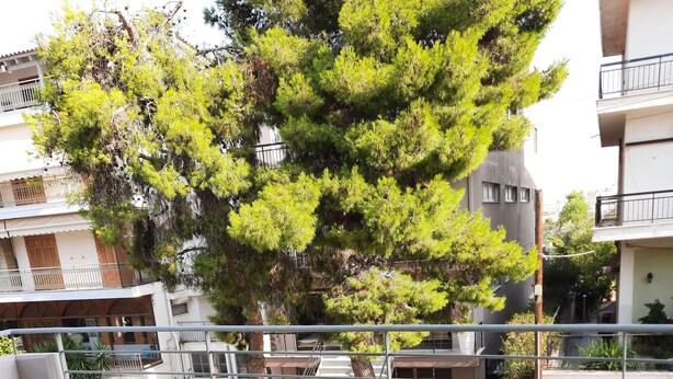 A balcony with outdoor seating, a tree, and a view of buildings. - Διαμέρισμα  (Αθηνα)
