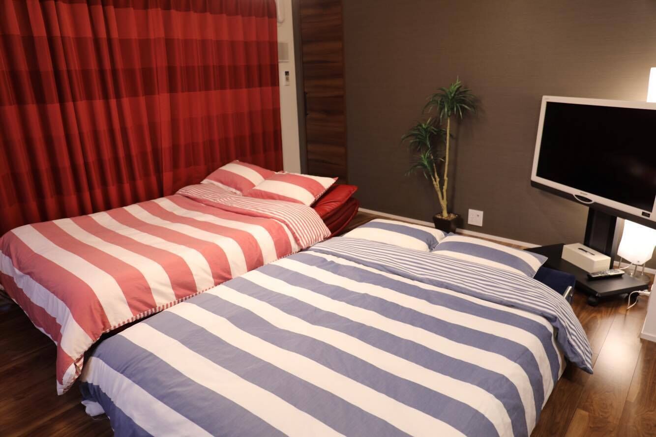 A hotel room with two beds, a TV, and a plant.