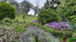 A lush garden with various flowering plants and trees. - Mansfield Colonial Cabin with Stunning Views (Mansfield)