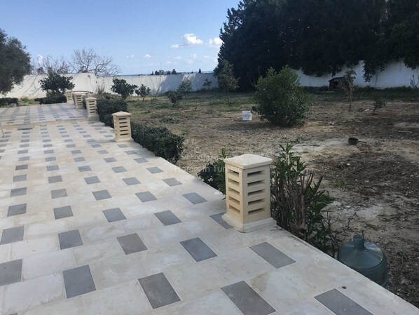 Terraza o patio