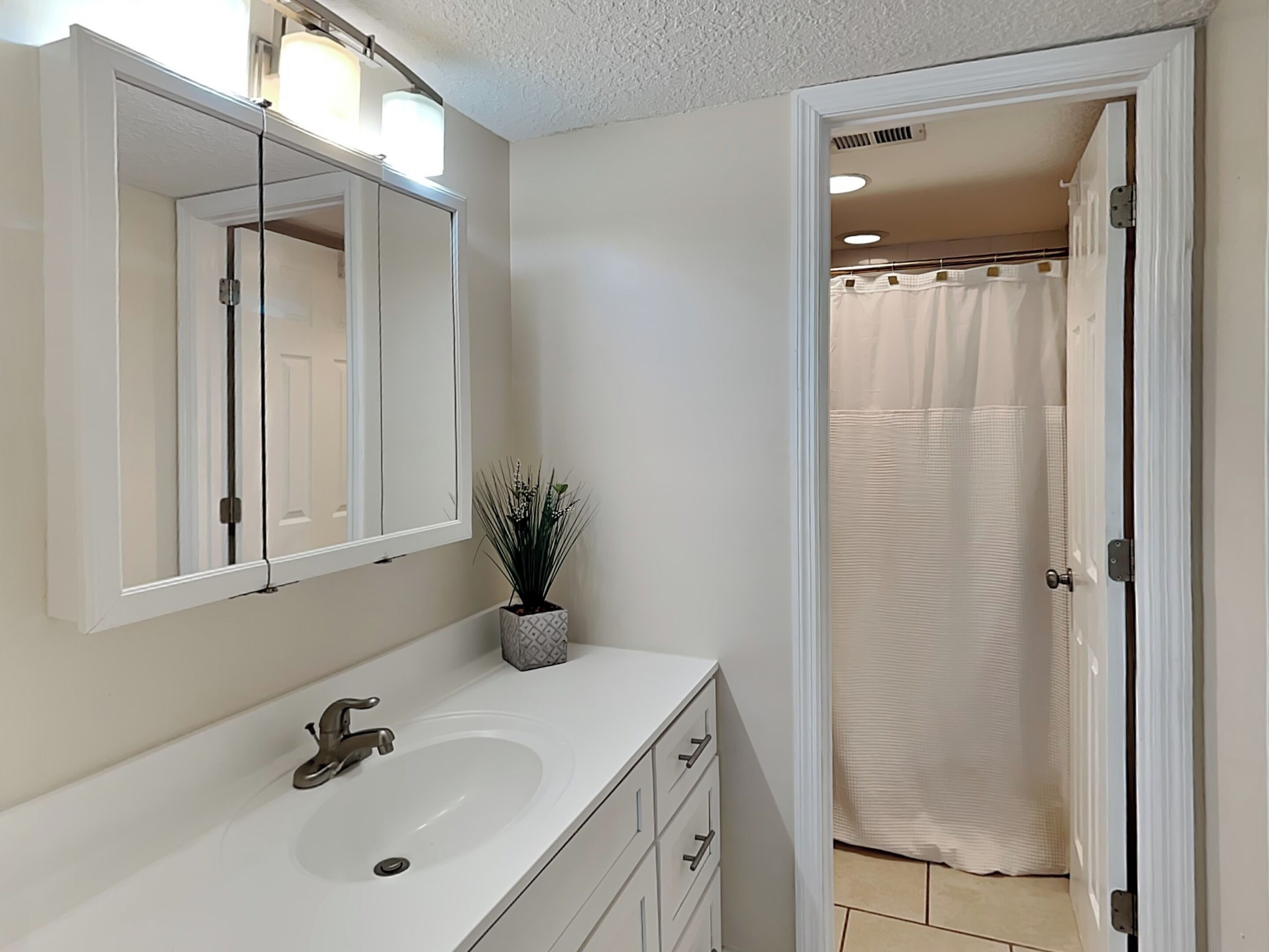 Une salle de bain avec un lavabo blanc, un miroir, une plante en pot et un rideau de douche.