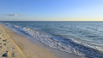 Playa en los alrededores 