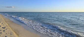 เวฟส์ บาย ดิสทิงค์ทีฟ บีช เรนทัลส์