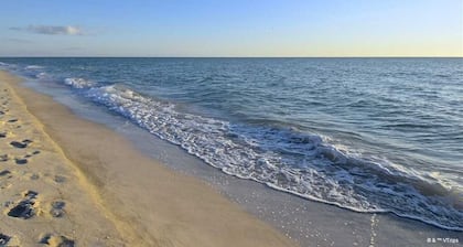 Waves by Distinctive Beach Rentals