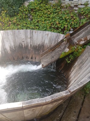 Miscellaneous - NATELA- 5А (Банско)