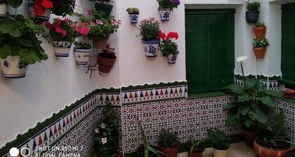 CULTURES AND COLORS IN ALMAGRO WIFI and private parking. Promotion to Companies