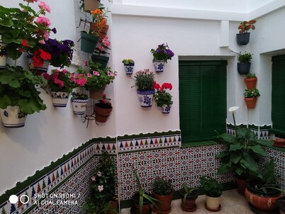 CULTURES AND COLORS IN ALMAGRO WIFI and private parking. Promotion to Companies 