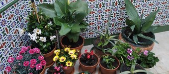 CULTURES AND COLORS IN ALMAGRO WIFI and private parking. Promotion to Companies