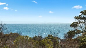 Beach - OSPREY - MORNINGTON. Walking distance to Mornington's cafe culture. (Mornington)