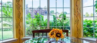 Vista Vine Cottage-Vista Views of Olive Orchards and Vineyards for Miles!
