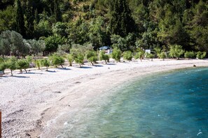 Una playa cerca