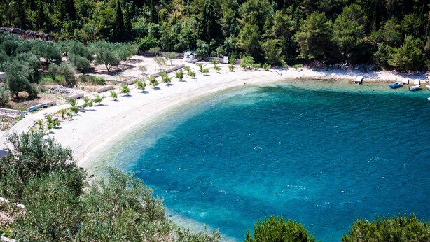 A beach with clear turquoise water, surrounded by dense green trees and a few beach umbrellas. - STONE HOUSES , COMPLETE PRIVACY , 7 BEDROOMS , 2 POOLS , IDEAL PLACE FOR HOLIDAY (kremena)