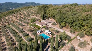 An aerial view of a property with terraced vineyards, a stone house with a tiled roof, and a swimming pool with sun loungers.