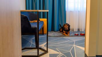 Ein Zimmer mit blauem Musterboden, einem blauen Sofa und einem Hund, der auf einer Matte mit Näpfen liegt.