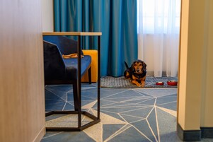 Una habitación con piso azul estampado, un sofá azul y un perro acostado sobre una alfombra con recipientes.