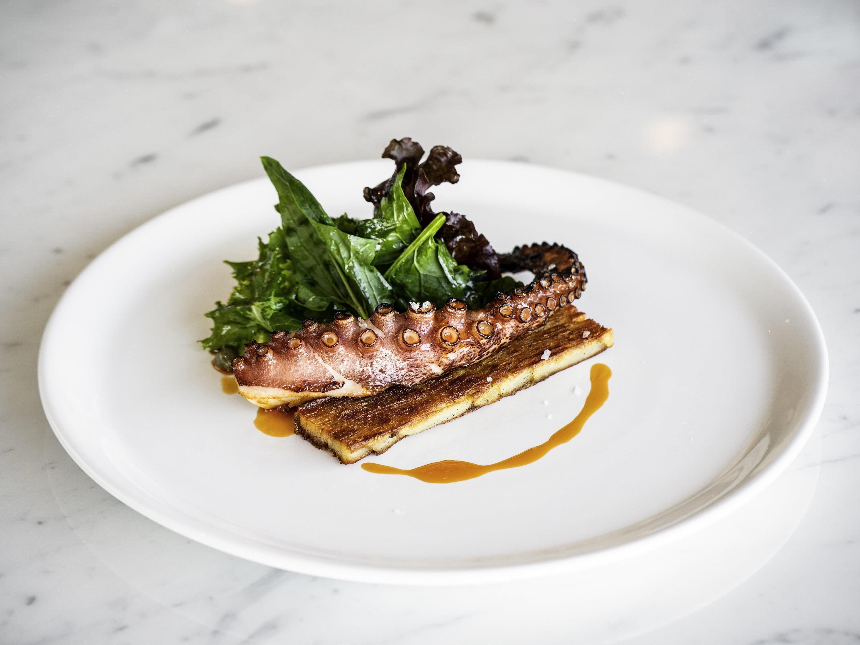 A white plate with octopus, greens, and a sauce on a marble surface.