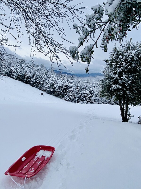 Snø- og skisport